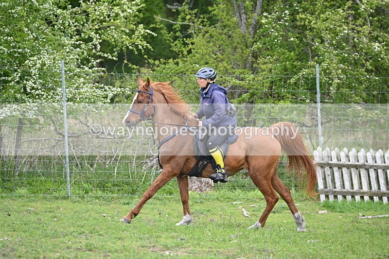 WJ6_3230 - A camera