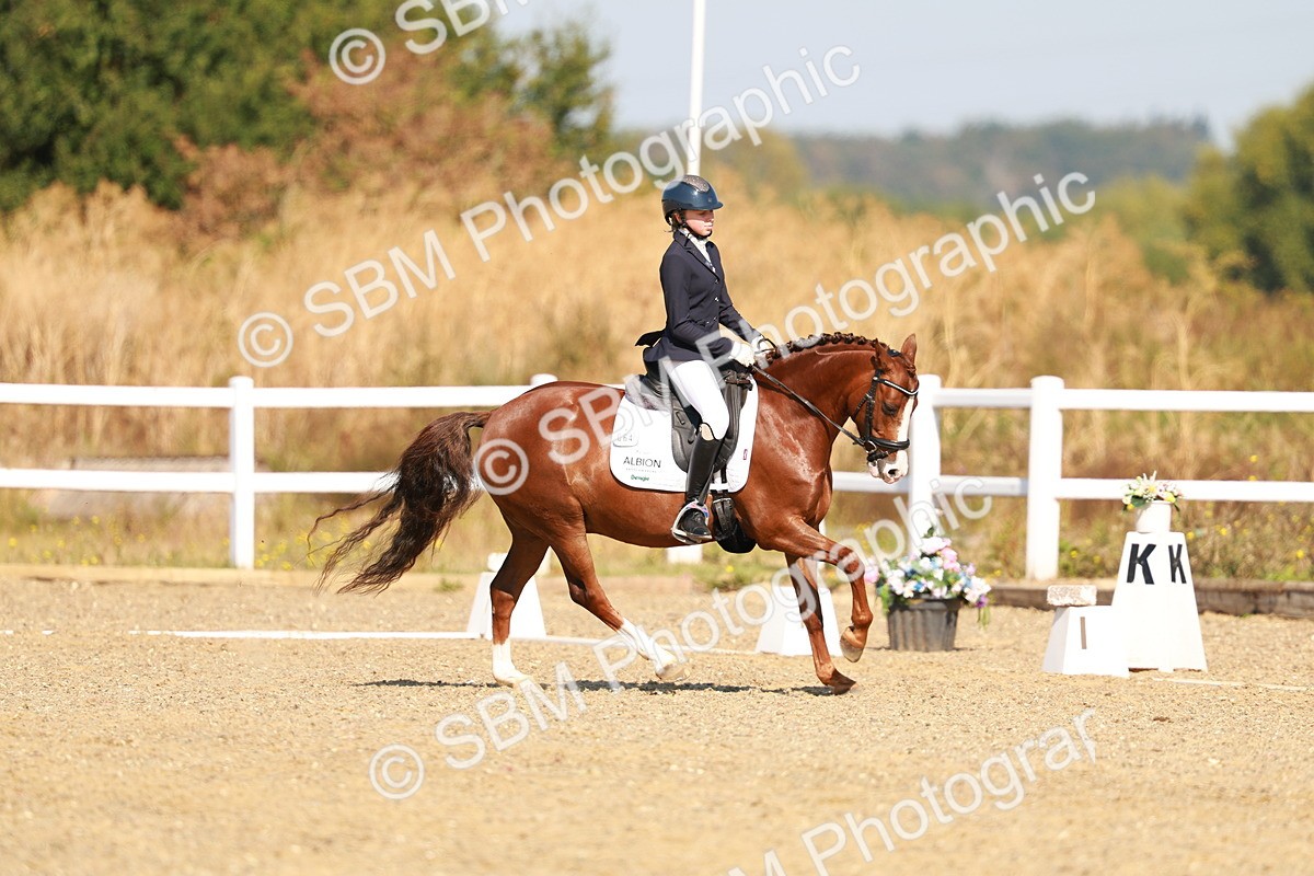 SBM_016811 - Class 9 - N5 Bronze 9.30.10.19