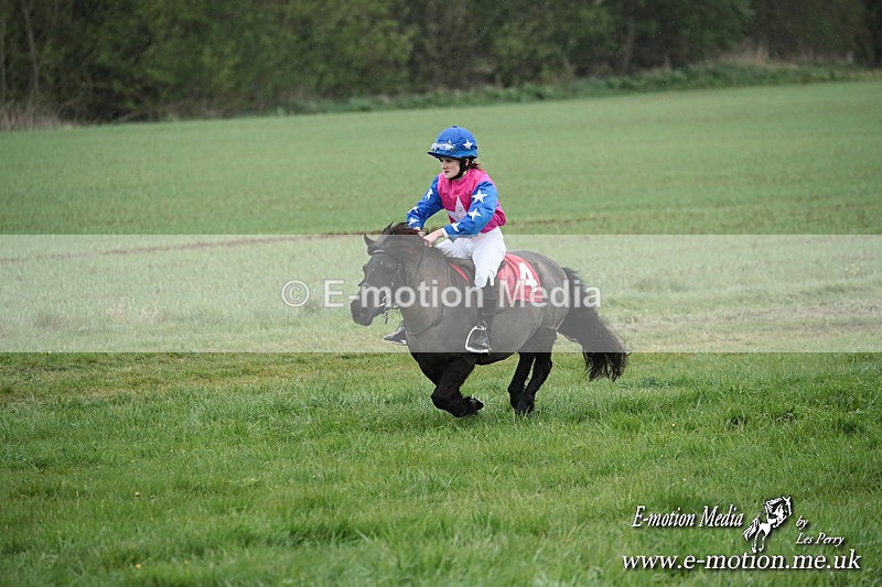 SHETPR 210425 105 - Shetland Ponies Paxford Races 21/04/25