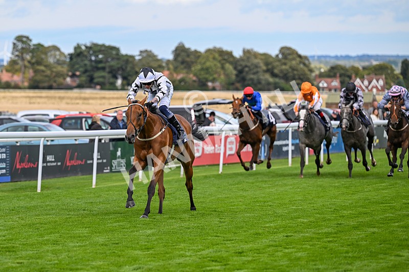 170925-Race 4-Dunkeld Dreamer-4888