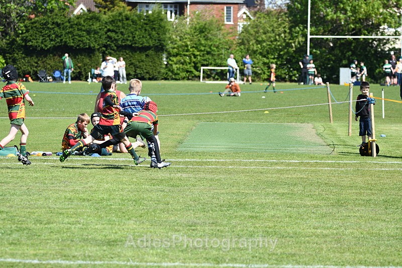  - Selby Rugby Festival 2025