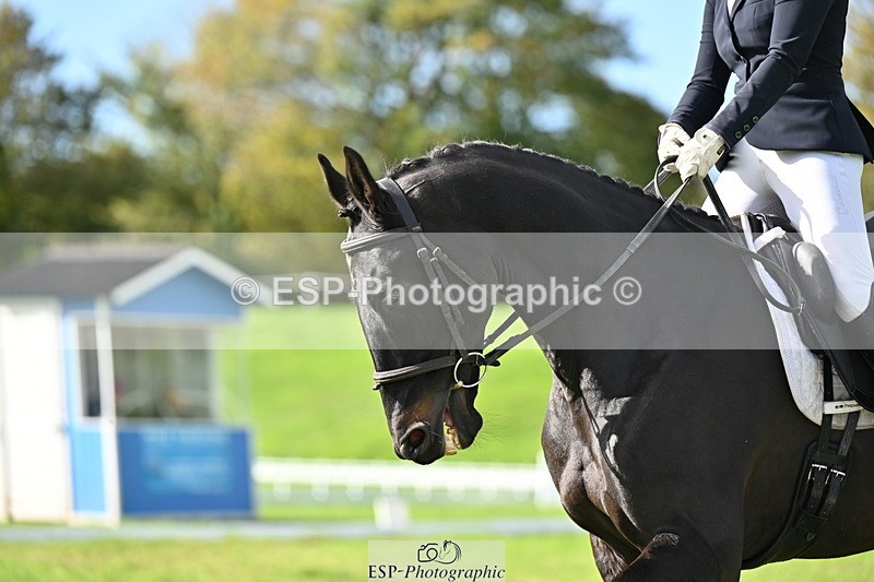 251024A-120738-09511 - F-468-Tabitha.Stephenson