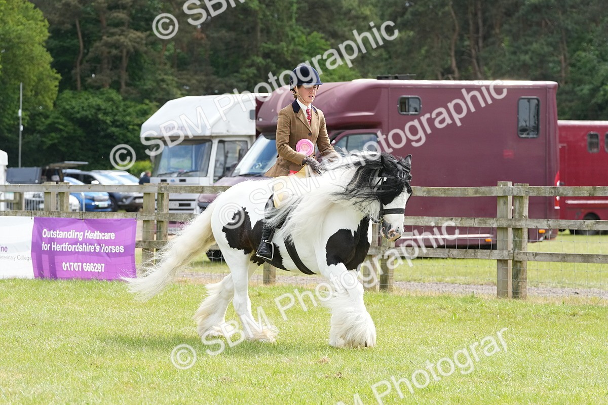 SBM_17357 - Class 107-108 - LIHS BSPS Performance Coloured Horse Pony