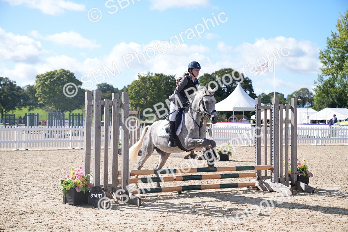 SBM_02489 - J54 Clear Round 45cm