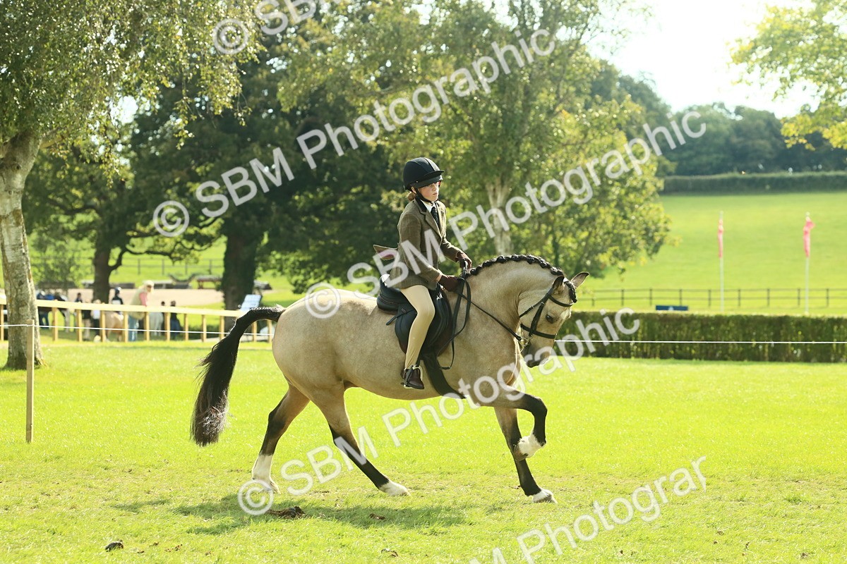 SBM_67629 - S56 - Coloured Pony Ridden