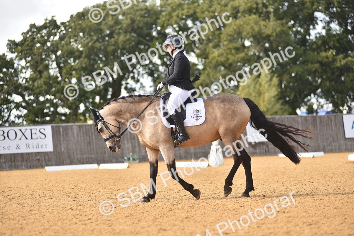 SBM_24280 - D4 - Small Tour Championship Intro 4