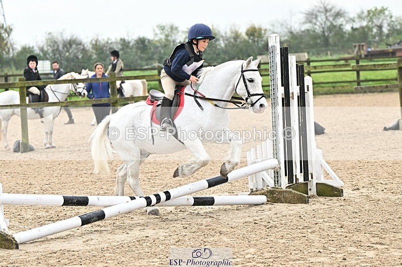 241110-102446-00292 - 40cm Showjumping