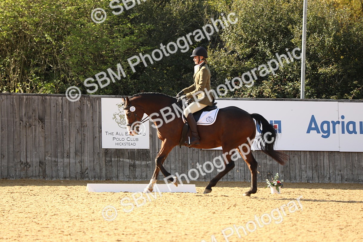 SBM_26882 - D17 - Grand Tour Championship - Novice 27