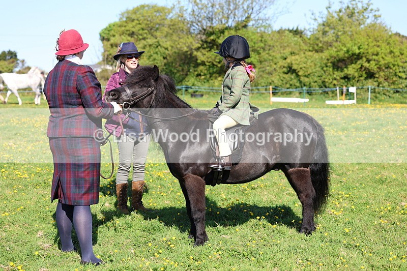 3E7A8762 - Class 2: Lead rein