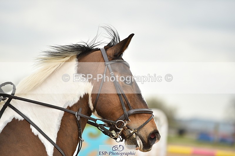 240331A-141102-01046 - 90cm Second Round