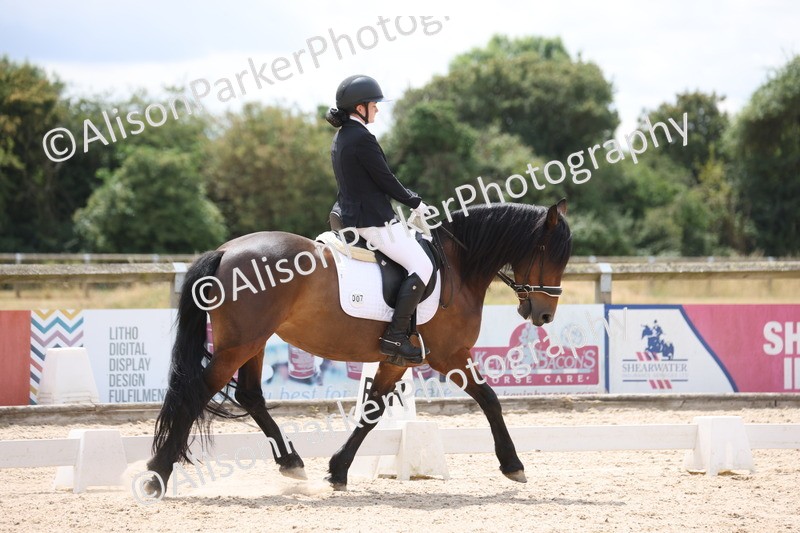 20250706-0468 - Class 17 - Elementary 5