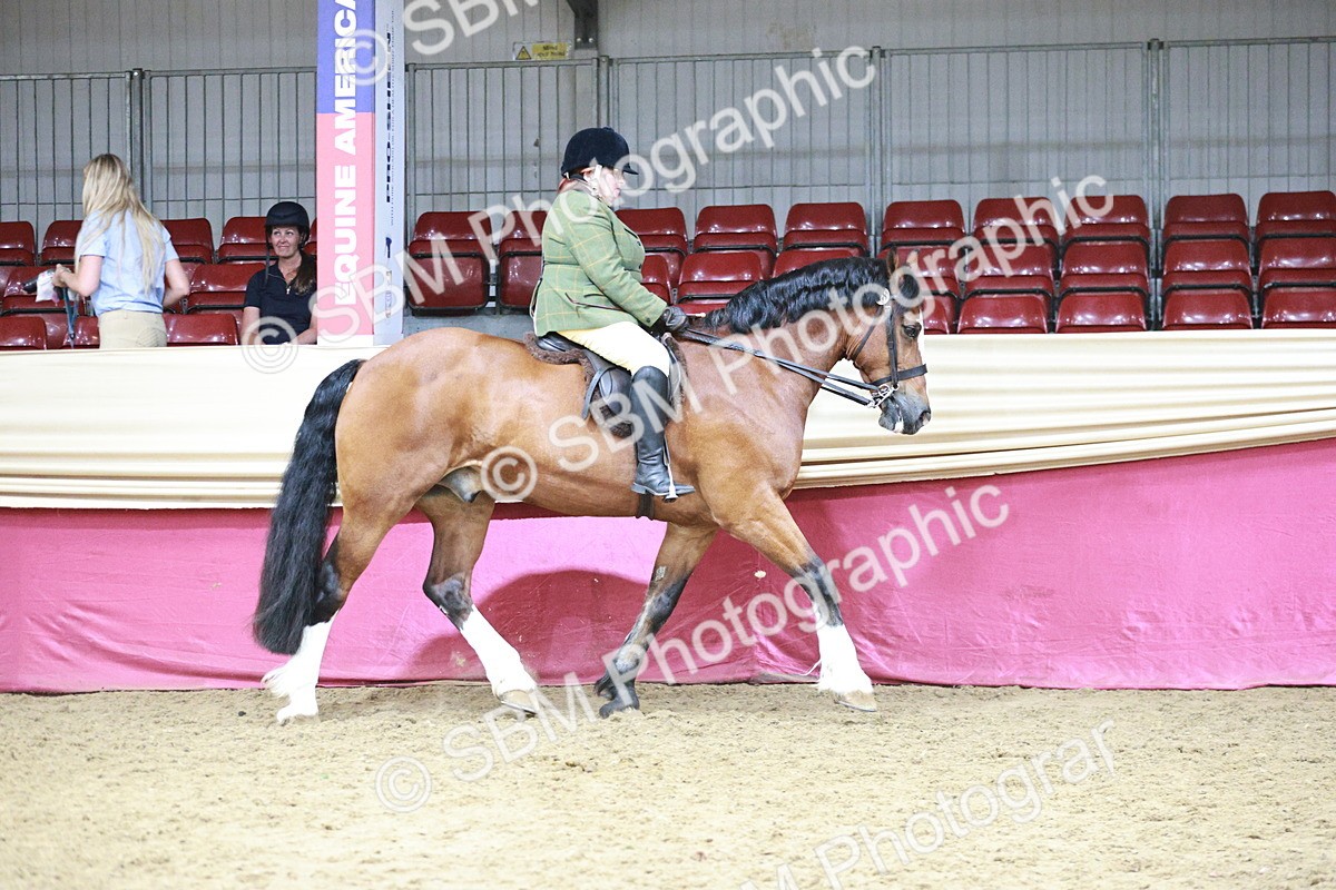 SBM_08760 - Class 12R - Regional Ridden Pre-Vet