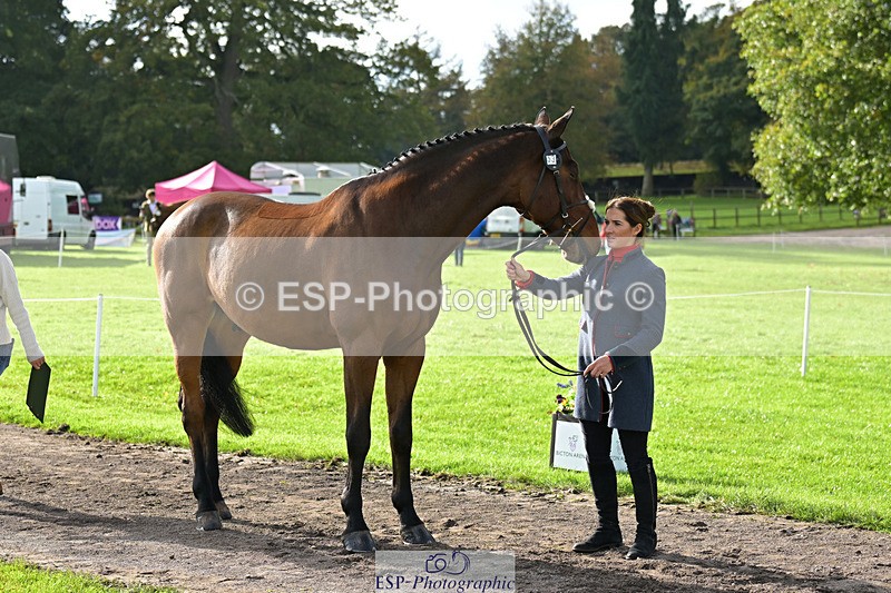 241023-132626-00288 - 053-Lois.Teal-Z7.CATASTROPHE