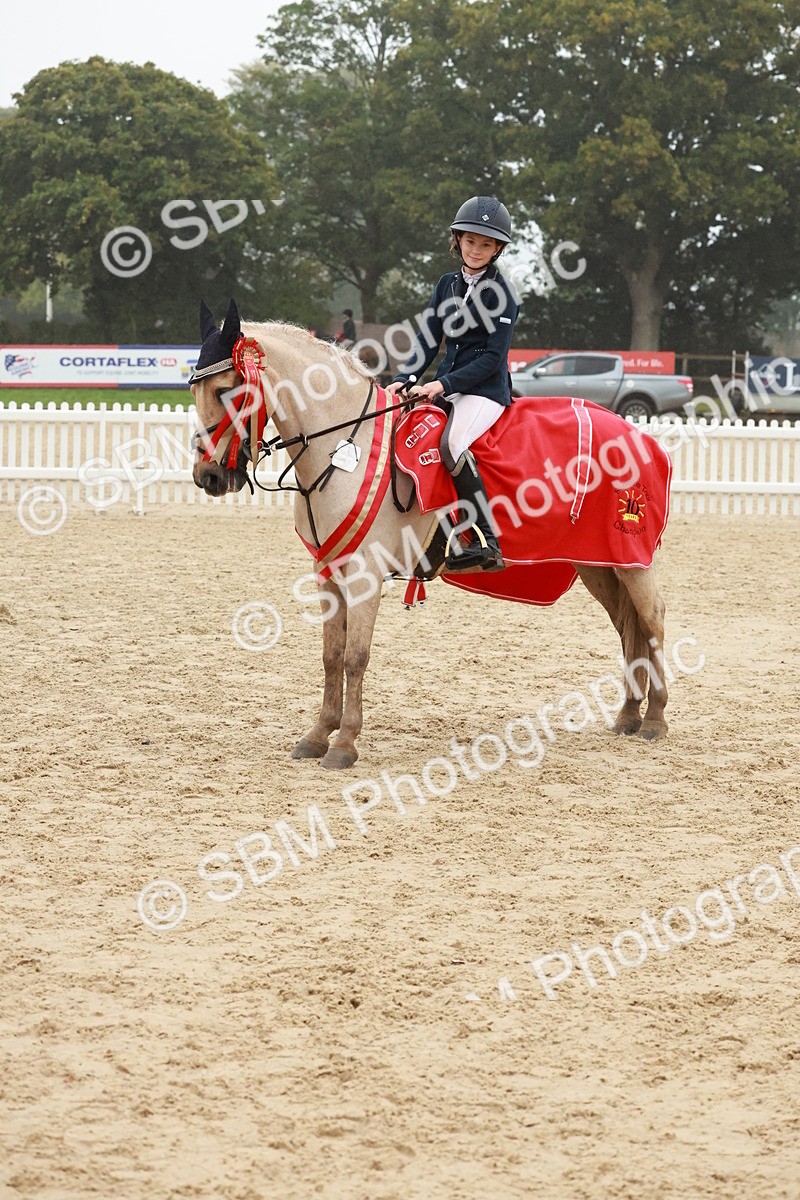 SBM_73531 - Supreme Championship Junior Pony 60cm & 65cm