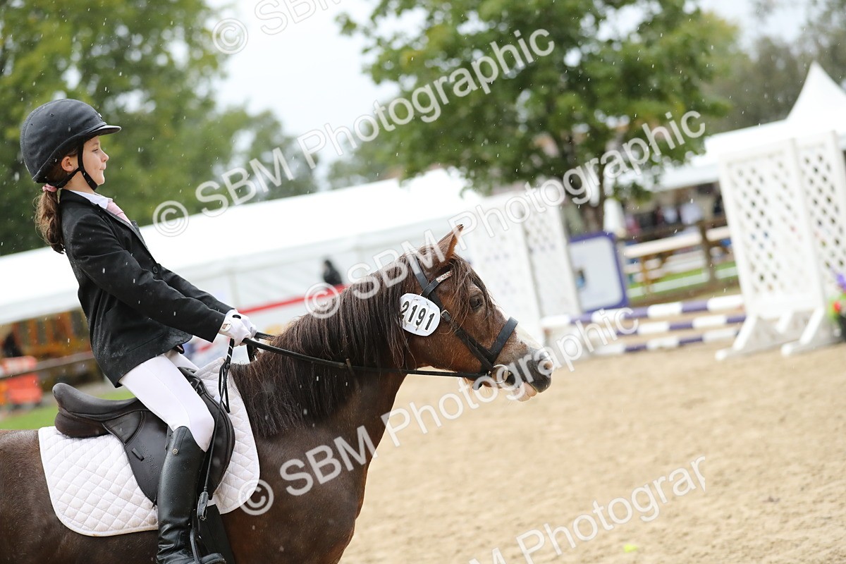 SBM_34370 - J60 Clear Round 50cm