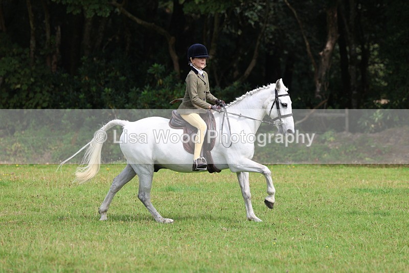 3E7A5857 - Class 26 and 27: 70cm Working Hunter