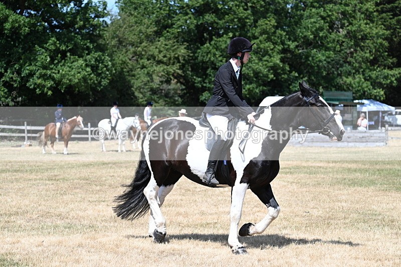 WJ7_3421 - Class 8 Ridden Veterans