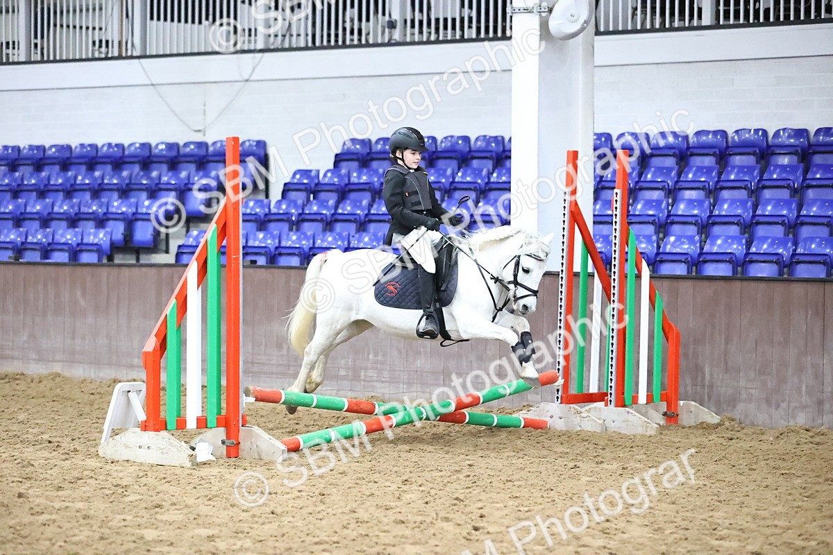 SBM_000131 - Class 2 - The Rug Lady 40cm Area 12 Championship Qualifier