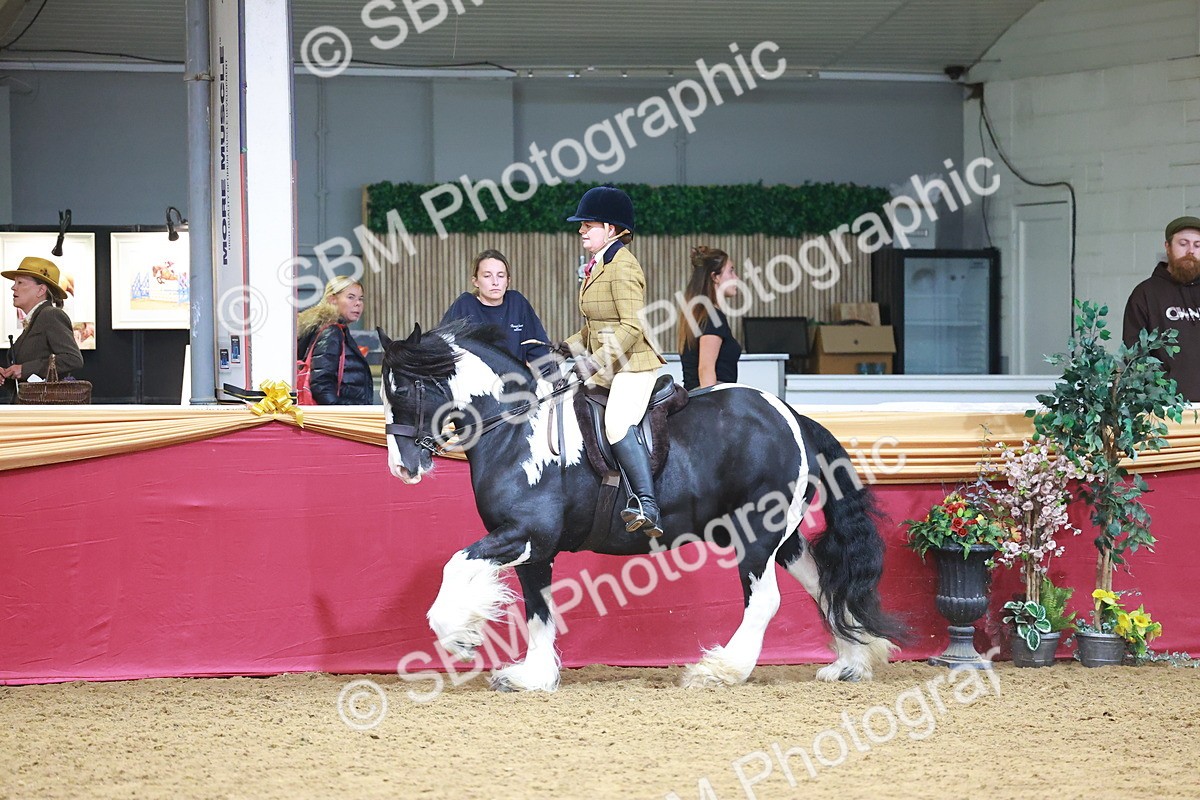 SBM_06284 - Class 12R - Ridden Pre-Vet