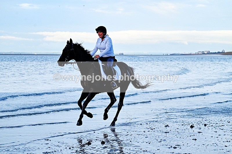 WJ7_4250 - Edited Examples