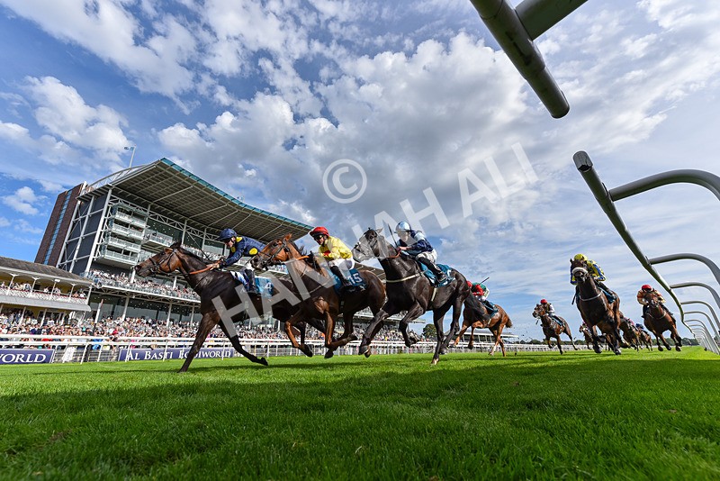 060926-Race 6-Power Fizz-2-2 - Race 6 4.25pm Eboracum Security Handicap