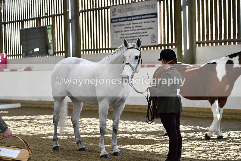 WJ5_4029 - Class 2 Best Condition In hand