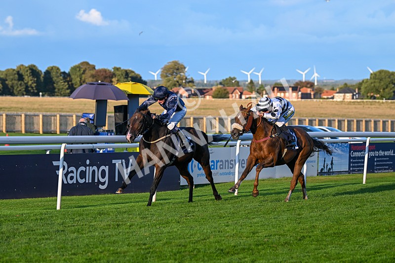 240924-Race 8-Claxton Bay-7155 - Race 8