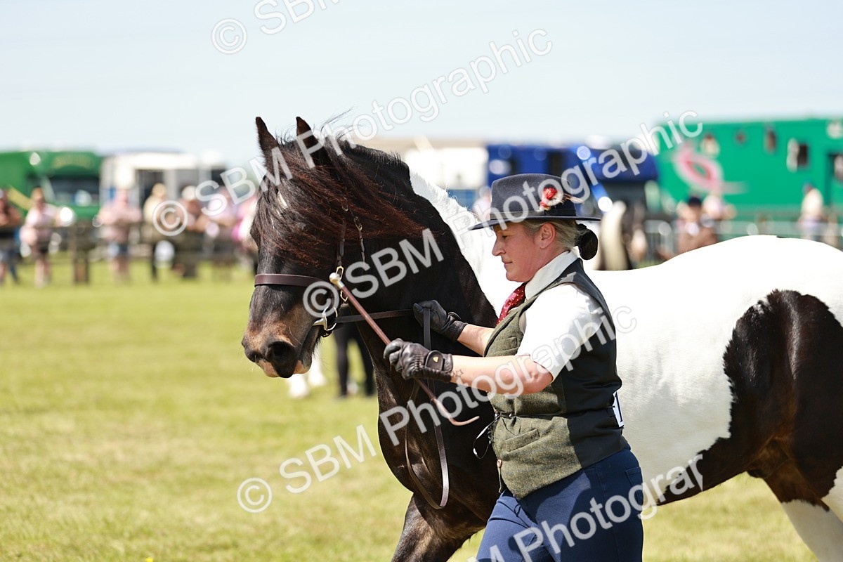 SBM_04177 - Class 39-40 - BSPA Coloured In Hand