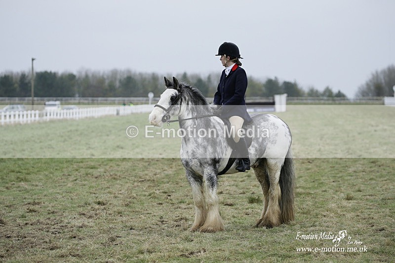 PtP 220122 268 - Royal Artillery Hunt Point-to-Point  - Larkhill Racecourse 22/01/22