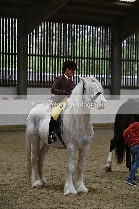 WJ7_4352 - Class 17 Ridden Cob