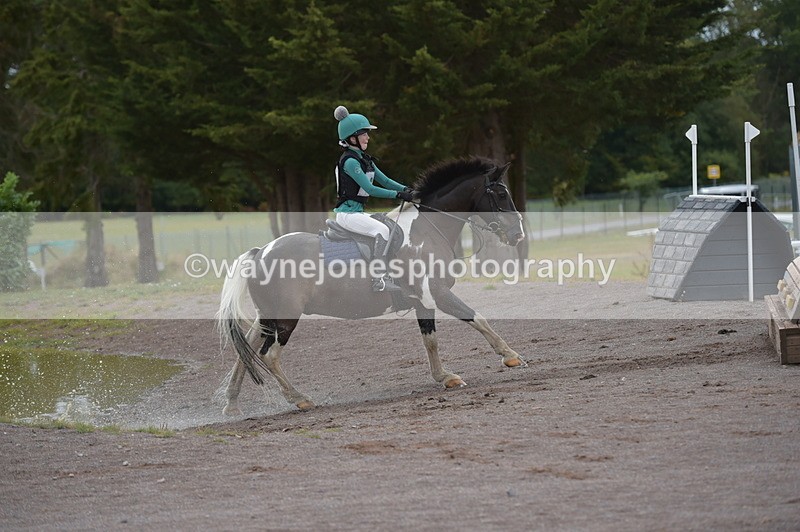 NGP_2731 - XC Time 11:37 to 11:57