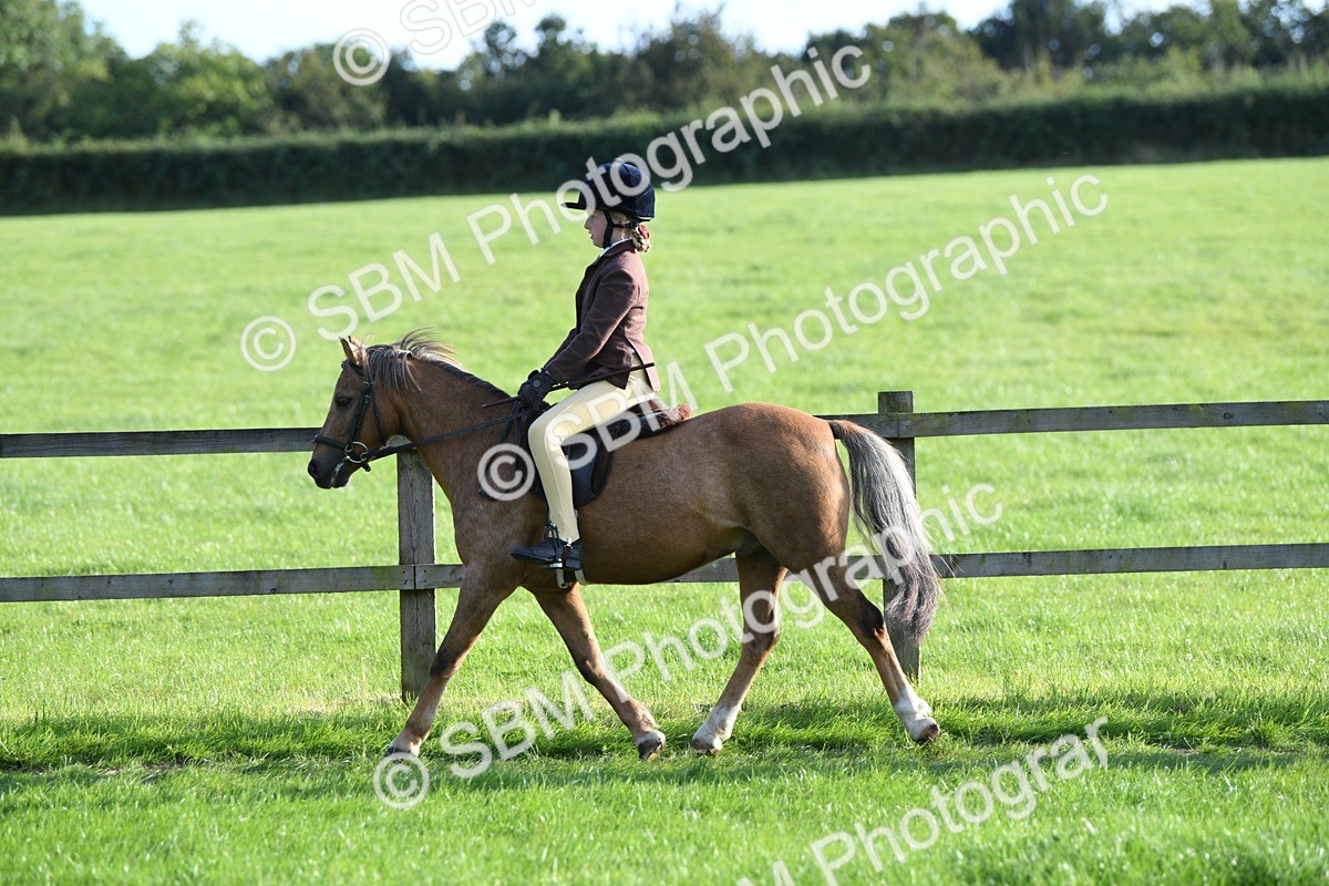 SBM_54033 - S23 - 1st Ridden Mountain & Moorland Pony