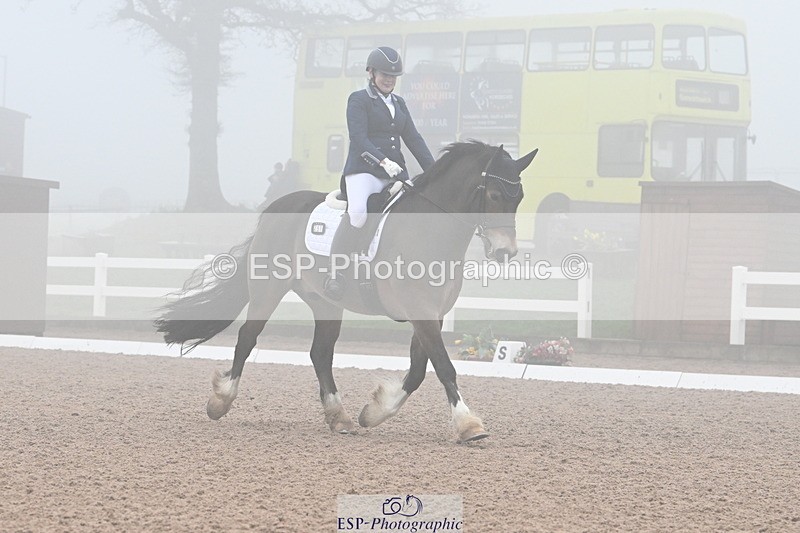 240217A-125306-02706 - 251-Alison.Crimp-Crwys.Beau