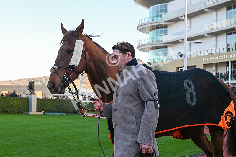141224-Race 2-Moon DOrange-0369 - Race 2
