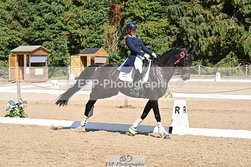 250810A-152910-08061 - Intermediate I GOLD Presentations