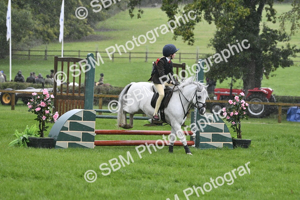 SBM_37121 - S31 - Novice & Newcomer Working Hunter Pony