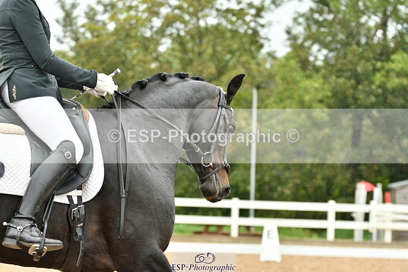 230912A-132025-01068 - Cls 15 Music Adv Medium