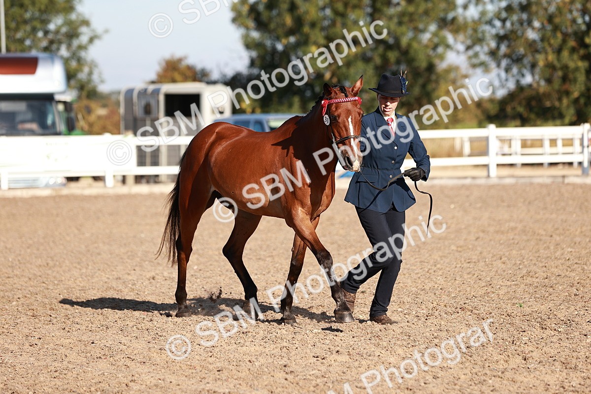 SBM_11449 - Class 402 - IH  Veteran pony