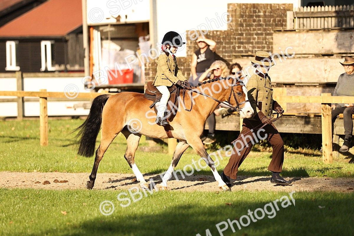 SBM_29368 - S7 - Novice & Newcomers Ridden Pony