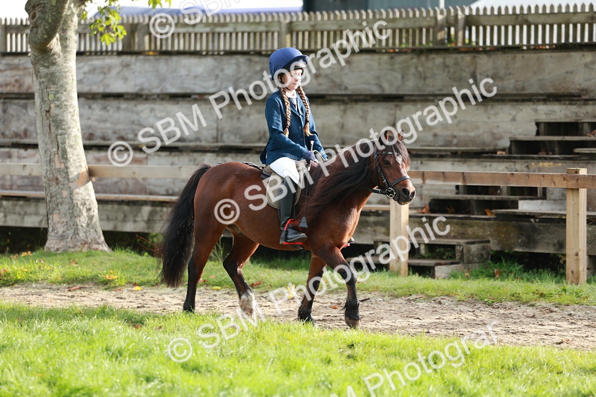 SBM_56388 - S39 - Starters In Hand Showing