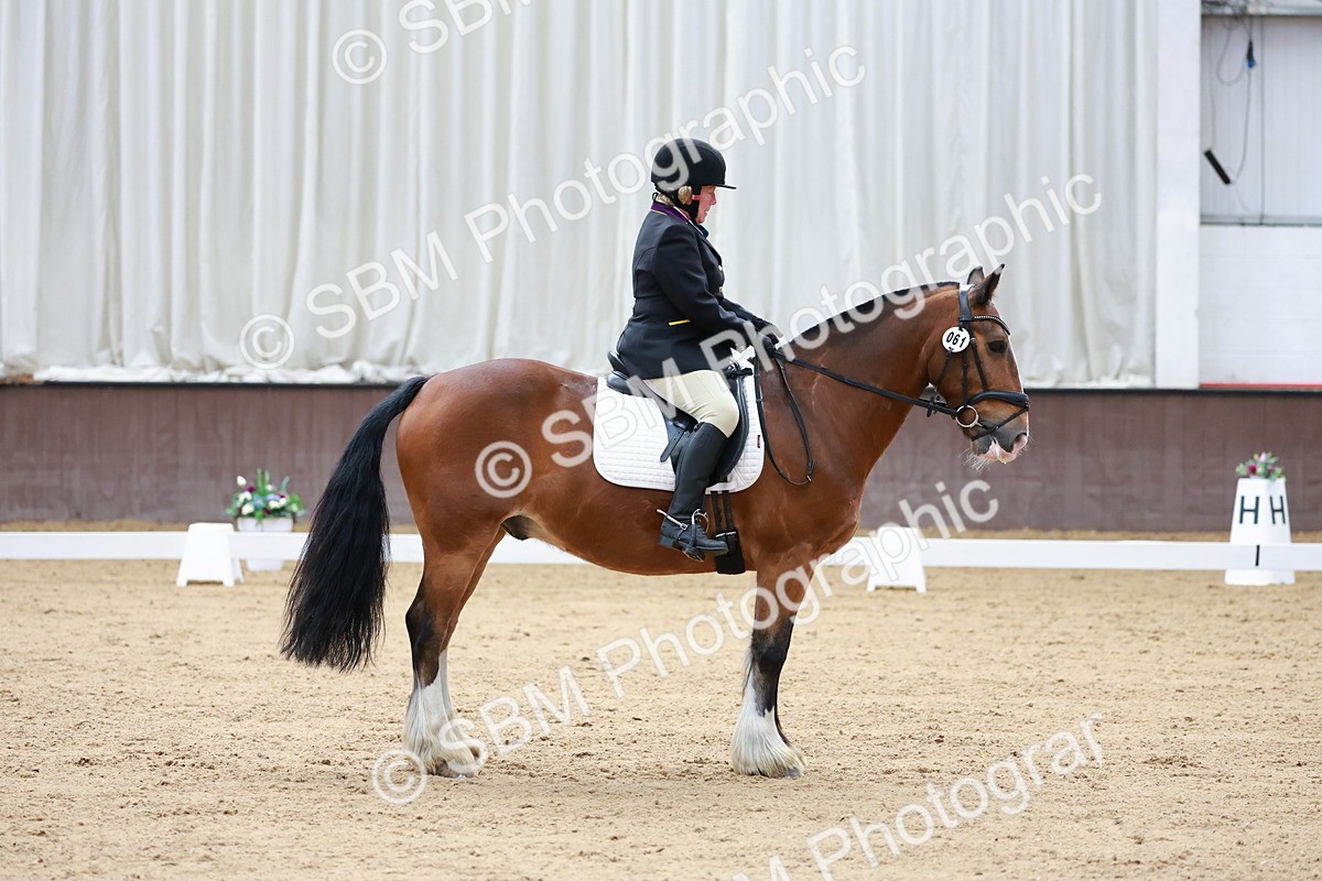 SBM_008117 - Class 6b - Novice 6 - 9.28-10.41