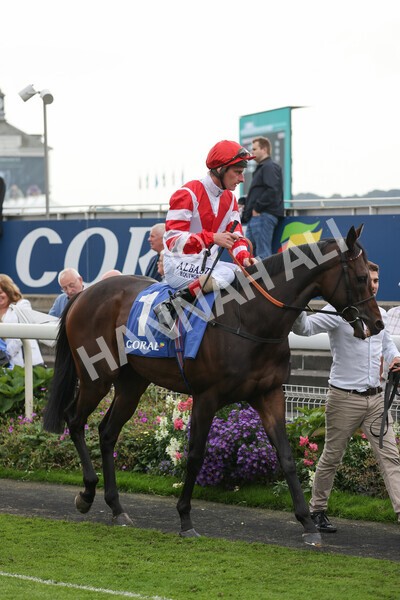 yr09102021r3-2 - Race 3 2.37pm Play Coral Racing-Super-Series For Free Handicap