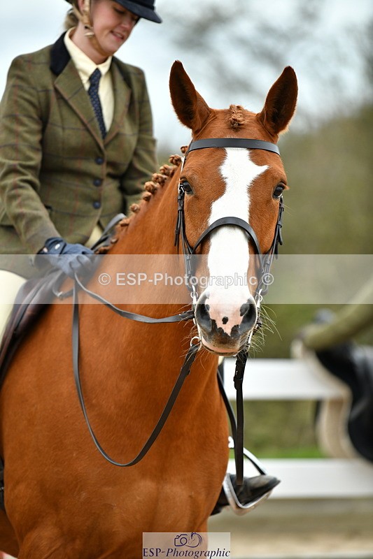 230416A-142023-05099 - Cls 67 Ridden Show Hunter