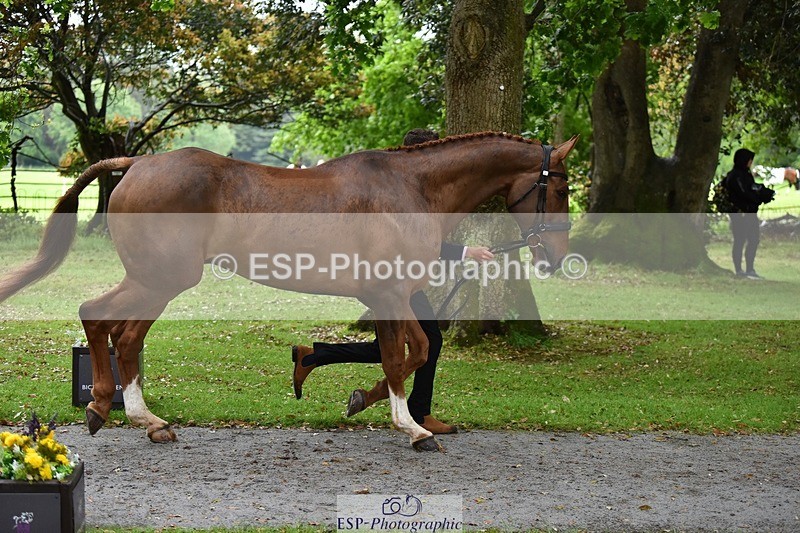 240522-161358-00802 - 159-WICKLOW_INTO_ORBIT-Lucy_Richards