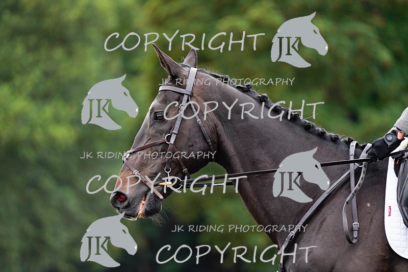 _DSC1760 - NOVICE 2