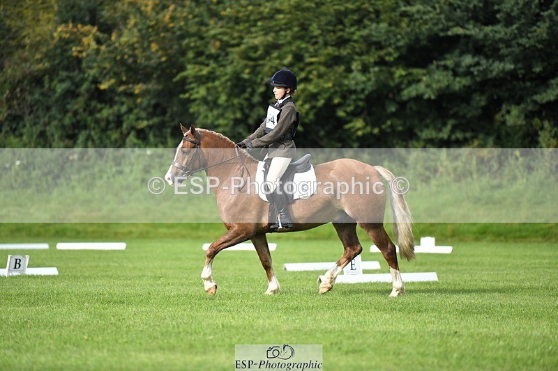 230826-091116-15045 - Sections C & D 9 to 10am