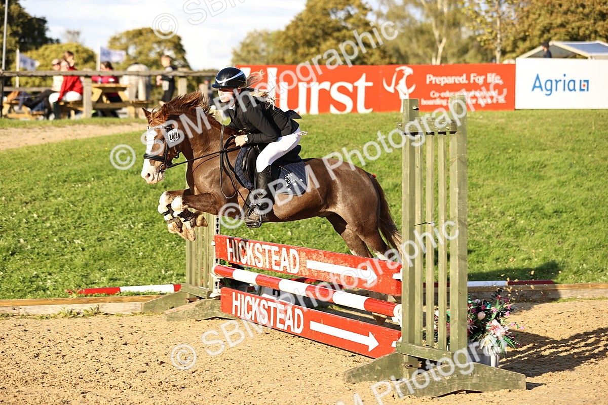 SBM_52020 - J10 - Junior Pony 75cm Championship