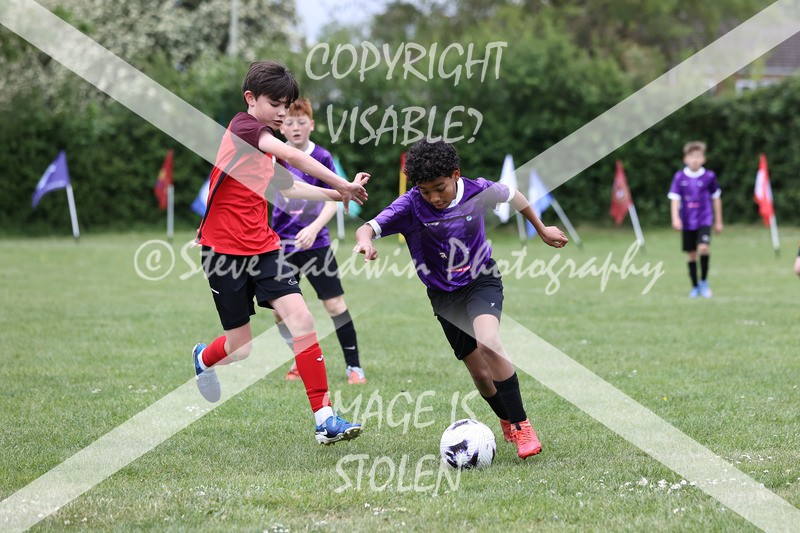 1DX31092 - Brook Field V Goddard Park