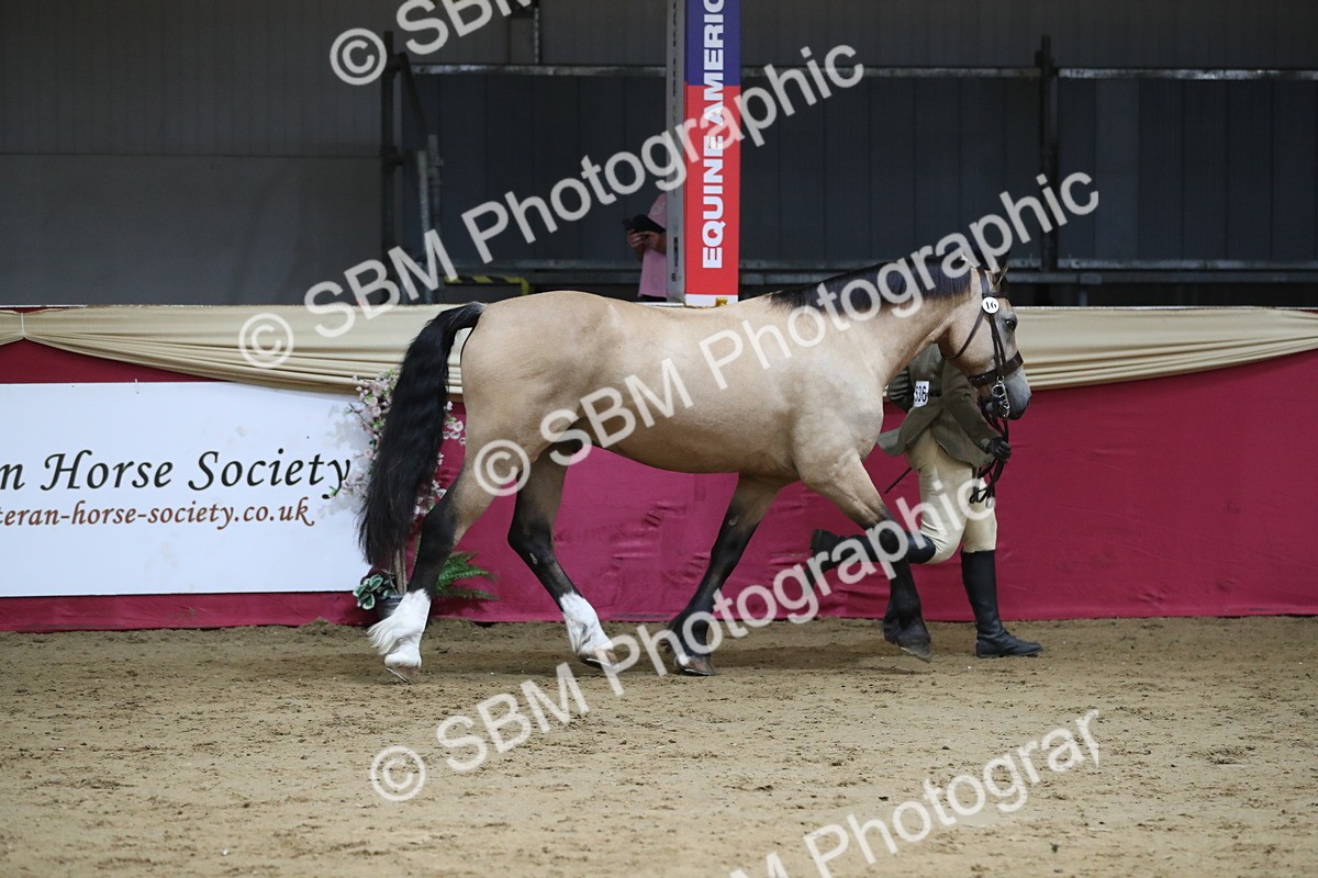 SBM_06319 - Class 9R Regional- IH Pre Vet