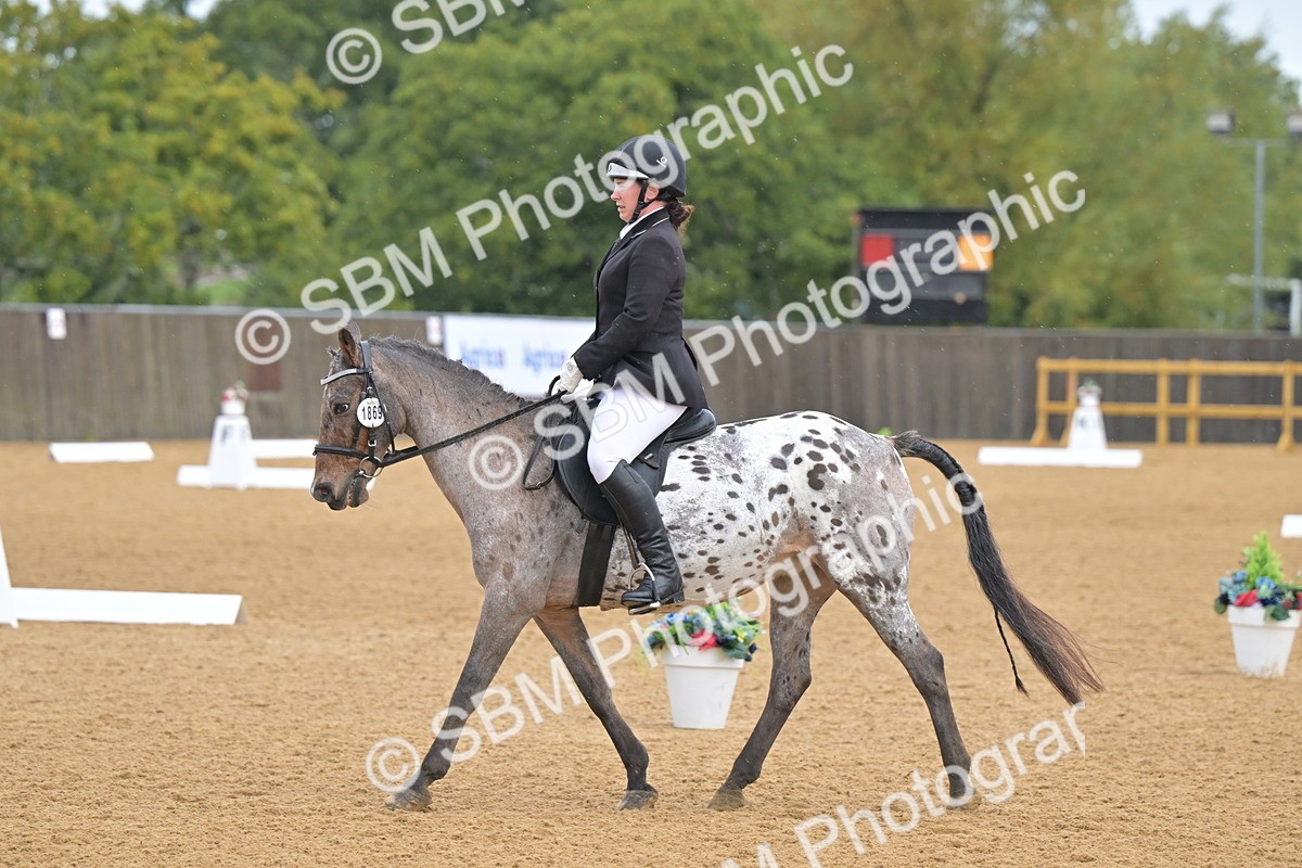 SBM_00505 - D2 - Small Tour Championship Intro 2